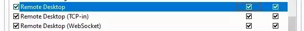 Three items starting with "Remote Desktop" in a list, each containing a checkbox to the far left before the text, and two to the far right in separate columns.